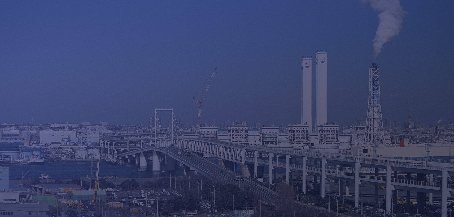 main_business_bg