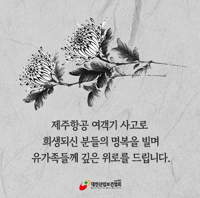 popup_241231